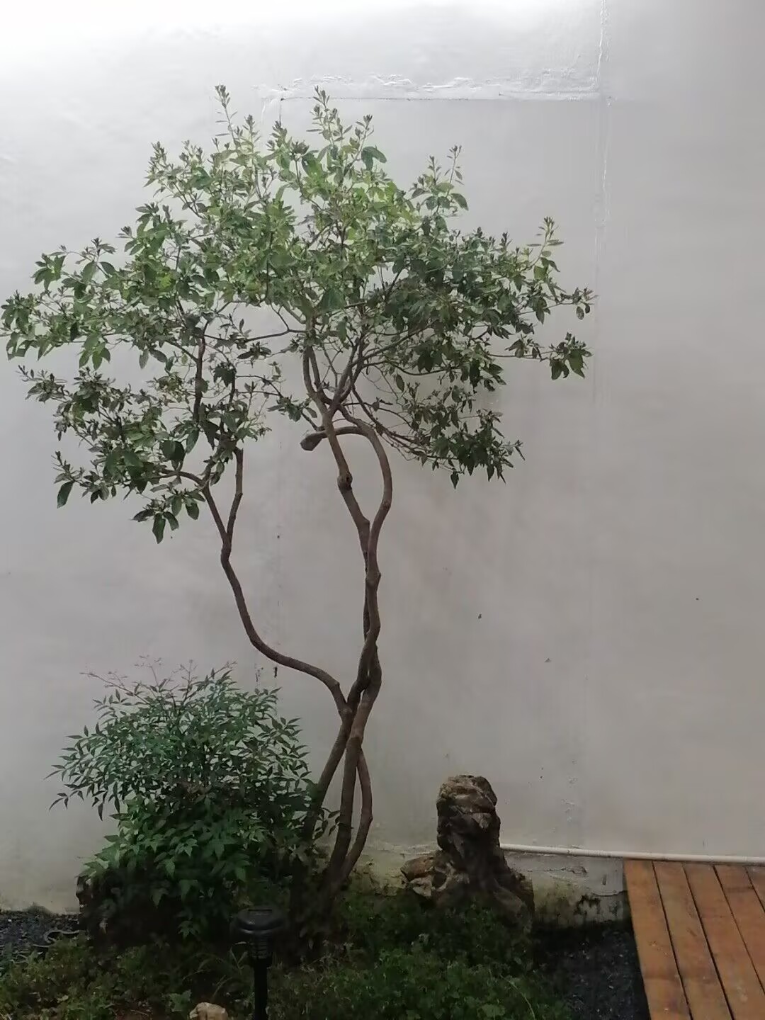 山東旅行民宿 Image 12